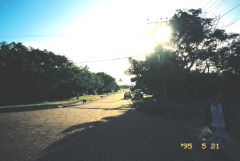 �n���K���A���̃��C���X�g���[�g